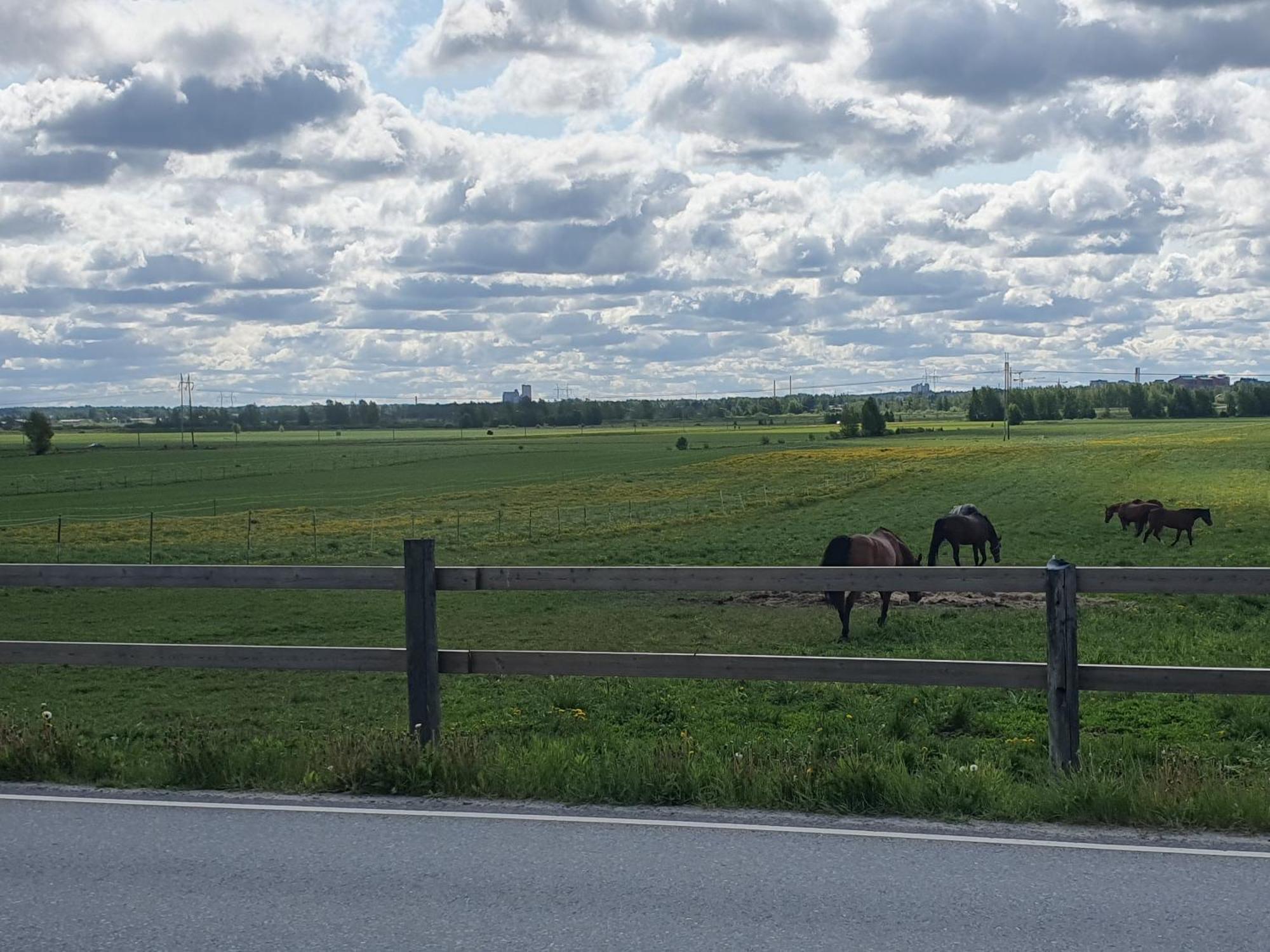 Siirilaen Tila Casa de hóspedes Seinäjoki Exterior foto