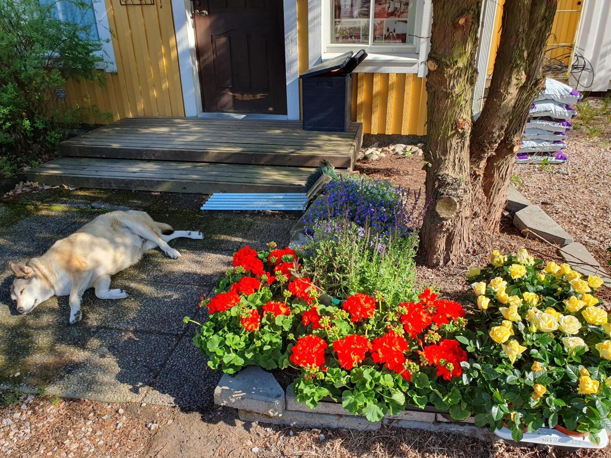 Siirilaen Tila Casa de hóspedes Seinäjoki Exterior foto