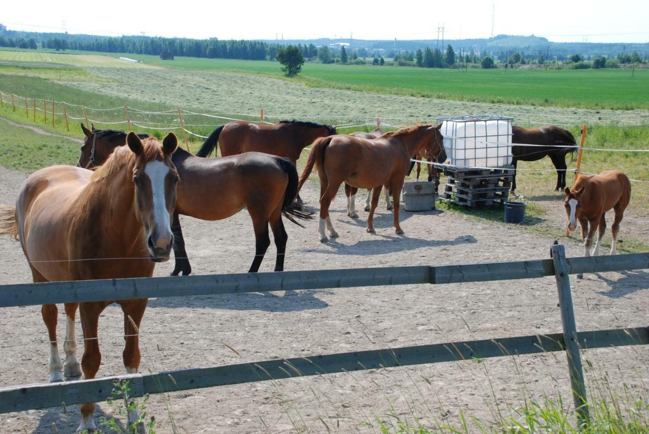 Siirilaen Tila Casa de hóspedes Seinäjoki Exterior foto